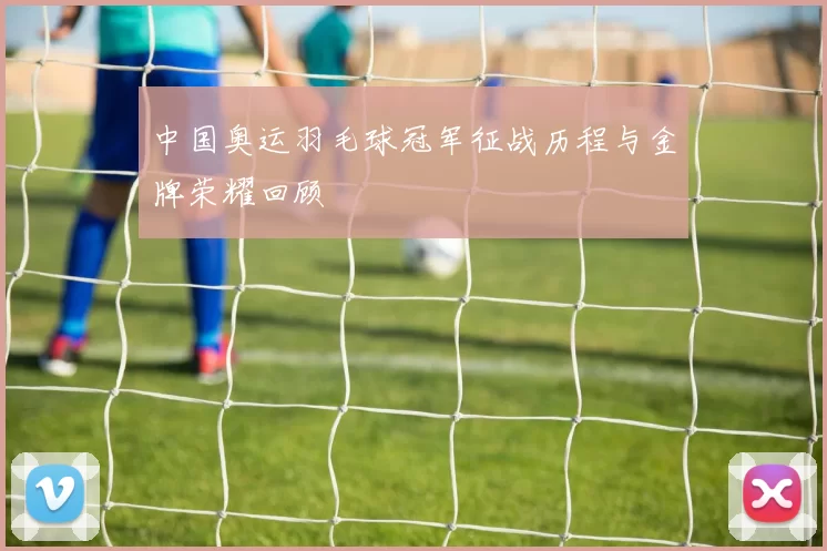 中国奥运羽毛球冠军征战历程与金牌荣耀回顾