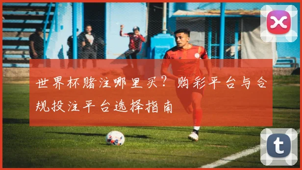 世界杯赌注哪里买？购彩平台与合规投注平台选择指南