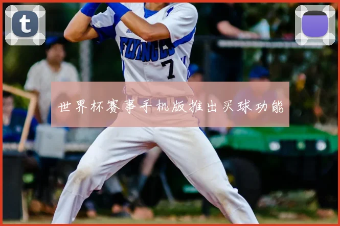 世界杯赛事手机版推出买球功能