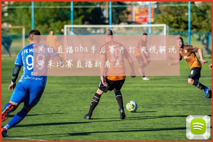 黑白直播nba季后赛开打 央视解说带来比赛直播新看点